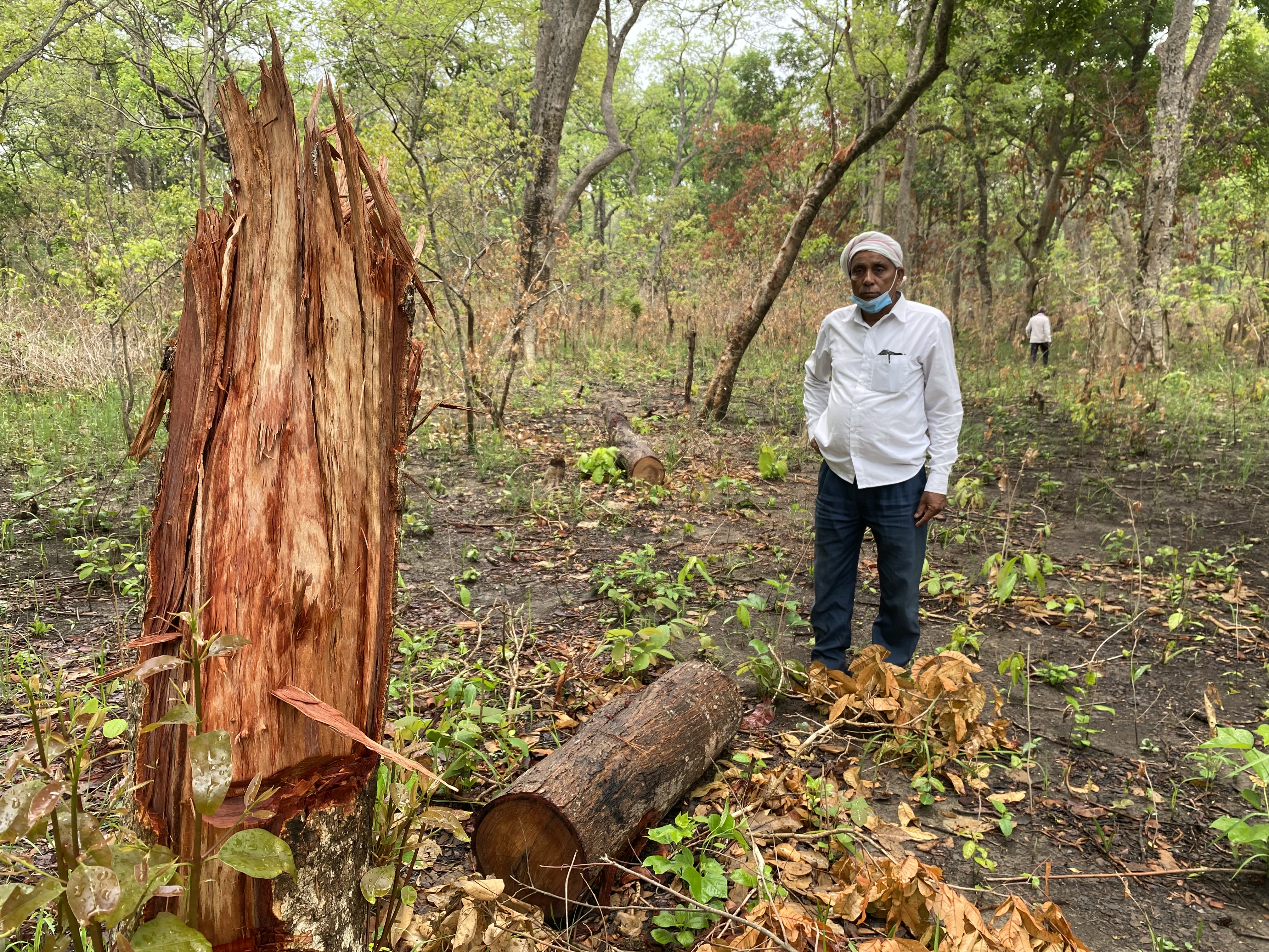 jungle terai-1.jpg